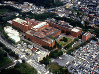 hinfo000036 1 jpg