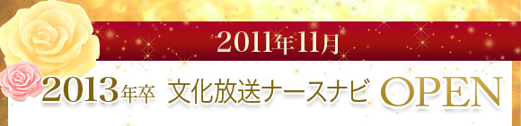 2011�N11���@2013�N�����������i�[�X�i�rOPEN