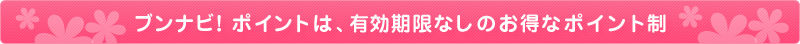 �u���i�r�I�|�C���g�́A�L�������Ȃ��̂����ȃ|�C���g��