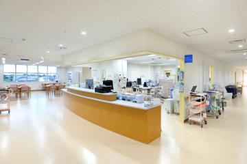 �s�c�����a�@�F�Ō�t�A�E�͕��������i�[�X�i�r