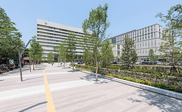 �c��`�m��w�a�@�F�Ō�t�A�E�͕��������i�[�X�i�r