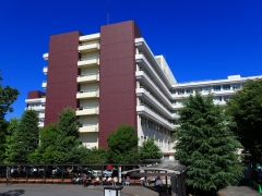 ���}���A���i��ȑ�w�a�@�F�Ō�t�A�E�͕��������i�[�X�i�r