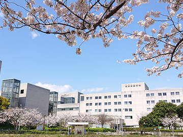 ���l�낤�����a�@�F�Ō�t�A�E�͕��������i�[�X�i�r