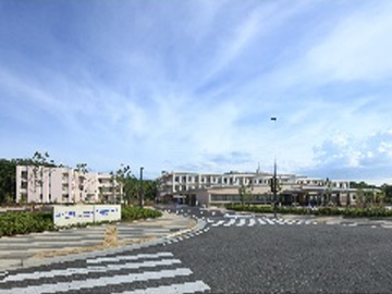 �����a�@�@�\�@���ɂ����̕a�@�F�Ō�t�A�E�͕��������i�[�X�i�r