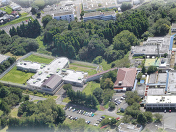 �����a�@�@�\�@�������_��ÃZ���^�[�F�Ō�t�A�E�͕��������i�[�X�i�r