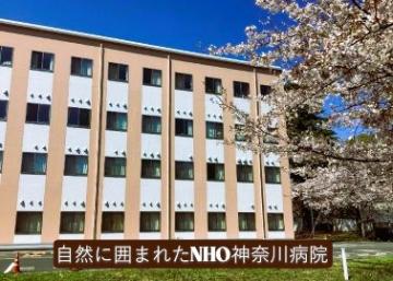 �����a�@�@�\�@�_�ސ�a�@�F�Ō�t�A�E�͕��������i�[�X�i�r