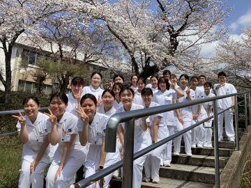 �����a�@�@�\�@�_�ސ�a�@�F�Ō�t�A�E�͕��������i�[�X�i�r