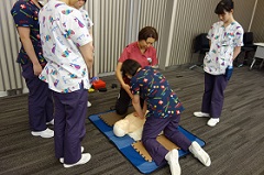 �������b���ȑ�w�i�����a�@�A������ÃZ���^�[�A������ÃZ���^�[�A���a�@�j�@�y������W�z�F�Ō�t�A�E�͕��������i�[�X�i�r