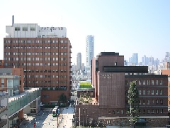 �������q��ȑ�w�a�@�F�Ō�t�A�E�͕��������i�[�X�i�r