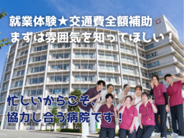 ���������F��a�@�F�Ō�t�A�E�͕��������i�[�X�i�r