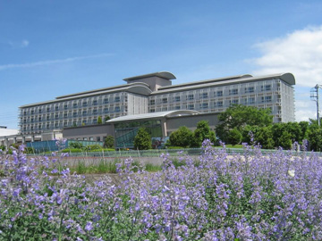 �s���b�{�a�@�F�Ō�t�A�E�͕��������i�[�X�i�r