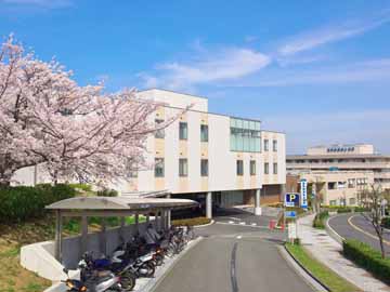 ���ېe�P�����a�@�F�Ō�t�A�E�͕��������i�[�X�i�r