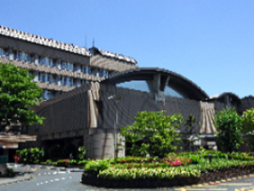 �����s�������암�n��a�@�F�Ō�t�A�E�͕��������i�[�X�i�r