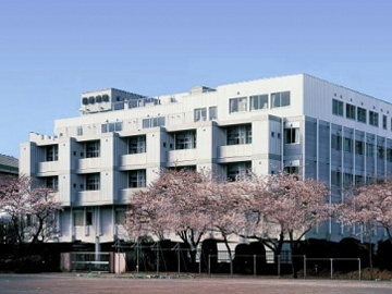 �����a�@�F�Ō�t�A�E�͕��������i�[�X�i�r