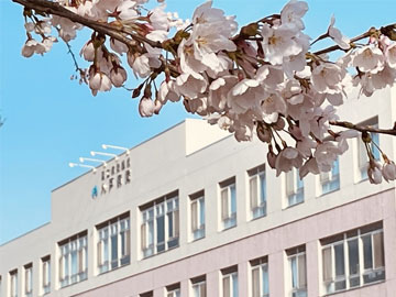 �����a�@�@�\�@���˕a�@�F�Ō�t�A�E�͕��������i�[�X�i�r