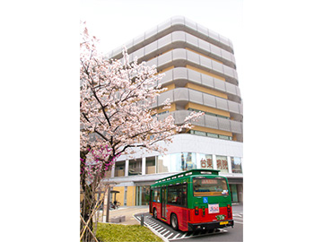 �䓌�旧�䓌�a�@�F�Ō�t�A�E�͕��������i�[�X�i�r