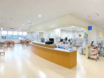 �s�c�����a�@�F�Ō�t�A�E�͕��������i�[�X�i�r