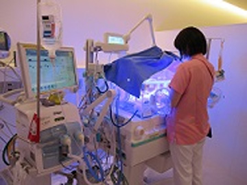 ������ȑ�w�a�@�F�Ō�t�A�E�͕��������i�[�X�i�r