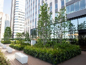 ������ȑ�w�a�@�F�Ō�t�A�E�͕��������i�[�X�i�r