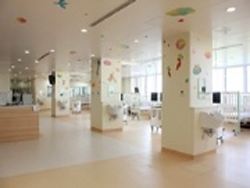 �k����w�a�@�F�Ō�t�A�E�͕��������i�[�X�i�r