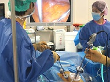 ���Ɉ�ȑ�w�a�@�F�Ō�t�A�E�͕��������i�[�X�i�r