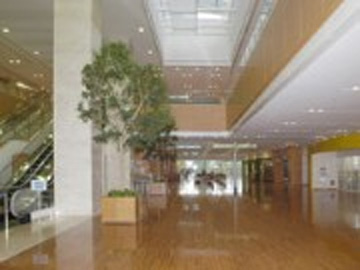 ���񌤋���L���a�@�F�Ō�t�A�E�͕��������i�[�X�i�r