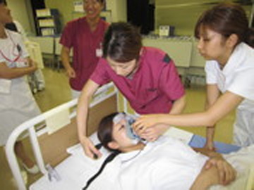 ���l�ۓy�P�J�����a�@�F�Ō�t�A�E�͕��������i�[�X�i�r