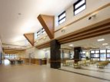 �����a�@�@�\�@���ɂ����̕a�@�F�Ō�t�A�E�͕��������i�[�X�i�r