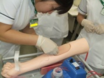 �^���a�@�F�Ō�t�A�E�͕��������i�[�X�i�r