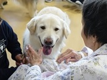 �����a�@�@�\�@�F�s�{�a�@�F�Ō�t�A�E�͕��������i�[�X�i�r