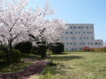 �����a�@�@�\�@���͌��a�@�F�Ō�t�A�E�͕��������i�[�X�i�r