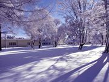�����a�@�@�\�@���������a�@�F�Ō�t�A�E�͕��������i�[�X�i�r