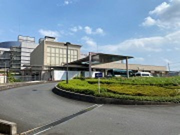 �Ղ̖�a�@�F�Ō�t�A�E�͕��������i�[�X�i�r