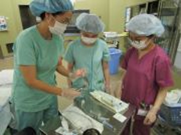 �n���Ë@�\���i�@�\�iJCHO�j �_�˒����a�@�F�Ō�t�A�E�͕��������i�[�X�i�r