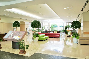 �n�[�g�����h��������E���a�@�F�Ō�t�A�E�͕��������i�[�X�i�r