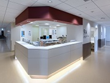 ���{��w�a�@�F�Ō�t�A�E�͕��������i�[�X�i�r