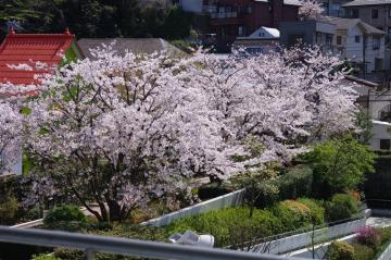 ���l�s���]�����E�_�o�ҒŃZ���^�[�F�Ō�t�A�E�͕��������i�[�X�i�r