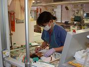 熊本大学病院：看護師就職は文化放送ナースナビ