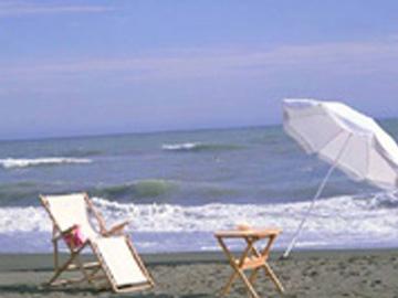 ��t�������f�B�J���Z���^�[�F�Ō�t�A�E�͕��������i�[�X�i�r