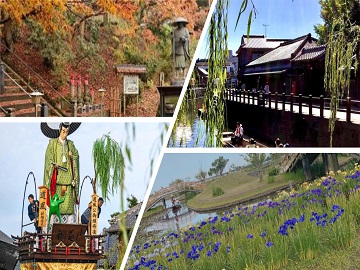 ��t���������a�@�F�Ō�t�A�E�͕��������i�[�X�i�r