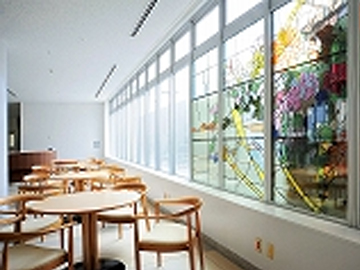 �}�g��w�����a�@�F�Ō�t�A�E�͕��������i�[�X�i�r