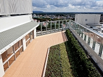 �}�g��w�����a�@�F�Ō�t�A�E�͕��������i�[�X�i�r