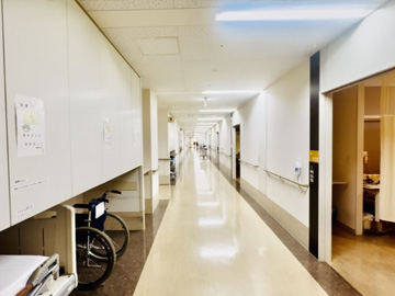 �V�S�����u�����a�@�F�Ō�t�A�E�͕��������i�[�X�i�r