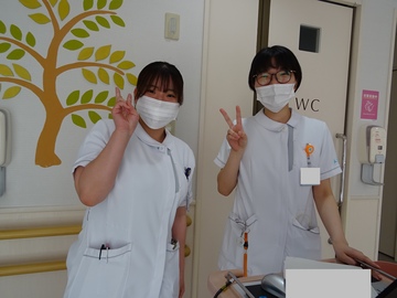 �l����ȑ�w��w�������a�@�F�Ō�t�A�E�͕��������i�[�X�i�r