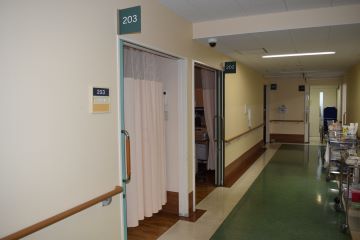 �ꋴ�a�@�F�Ō�t�A�E�͕��������i�[�X�i�r