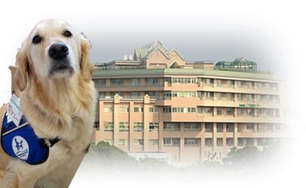 �_�ސ쌧�����ǂ���ÃZ���^�[�F�Ō�t�A�E�͕��������i�[�X�i�r