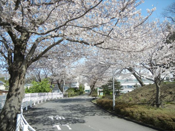 �_�ސ쌧���z��ċz��a�Z���^�[�F�Ō�t�A�E�͕��������i�[�X�i�r