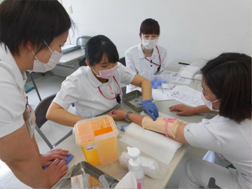 �ߐ{�ԏ\���a�@�F�Ō�t�A�E�͕��������i�[�X�i�r