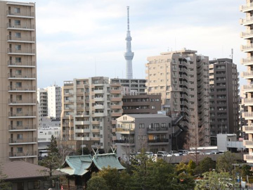 �����铌�a�@�F�Ō�t�A�E�͕��������i�[�X�i�r