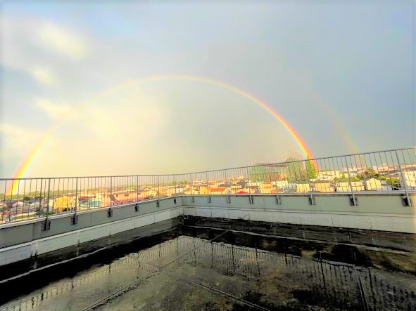 TMG�@�������a�@�F�Ō�t�A�E�͕��������i�[�X�i�r